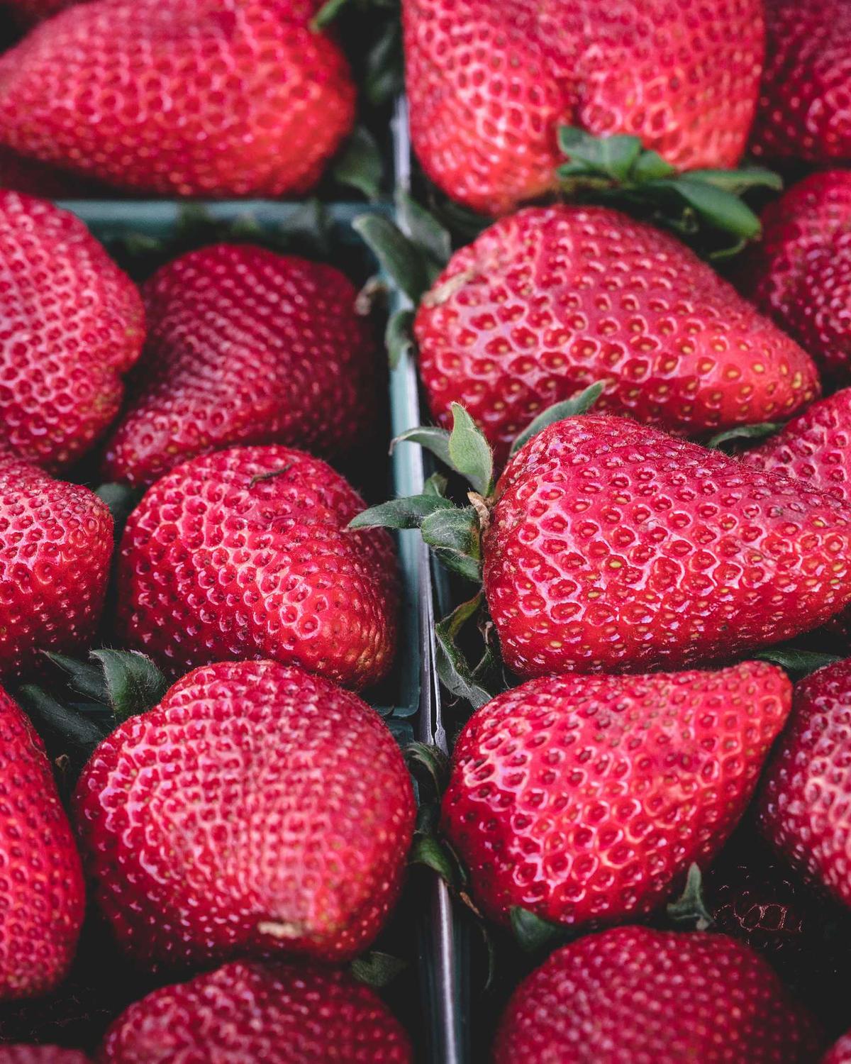 Sessizliğin Dokusu — 4 Görsel