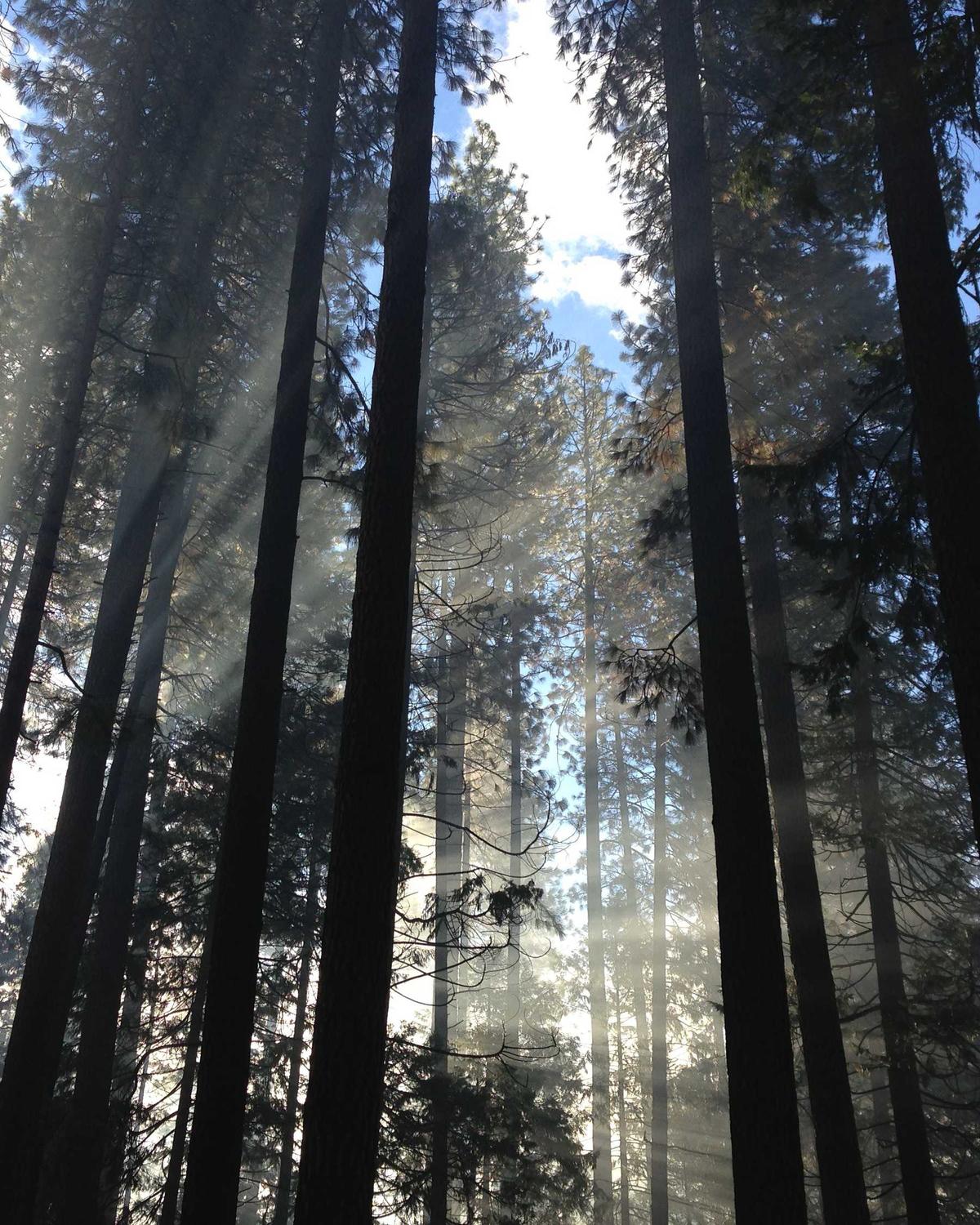 Mavi Saatler — 1 Görsel