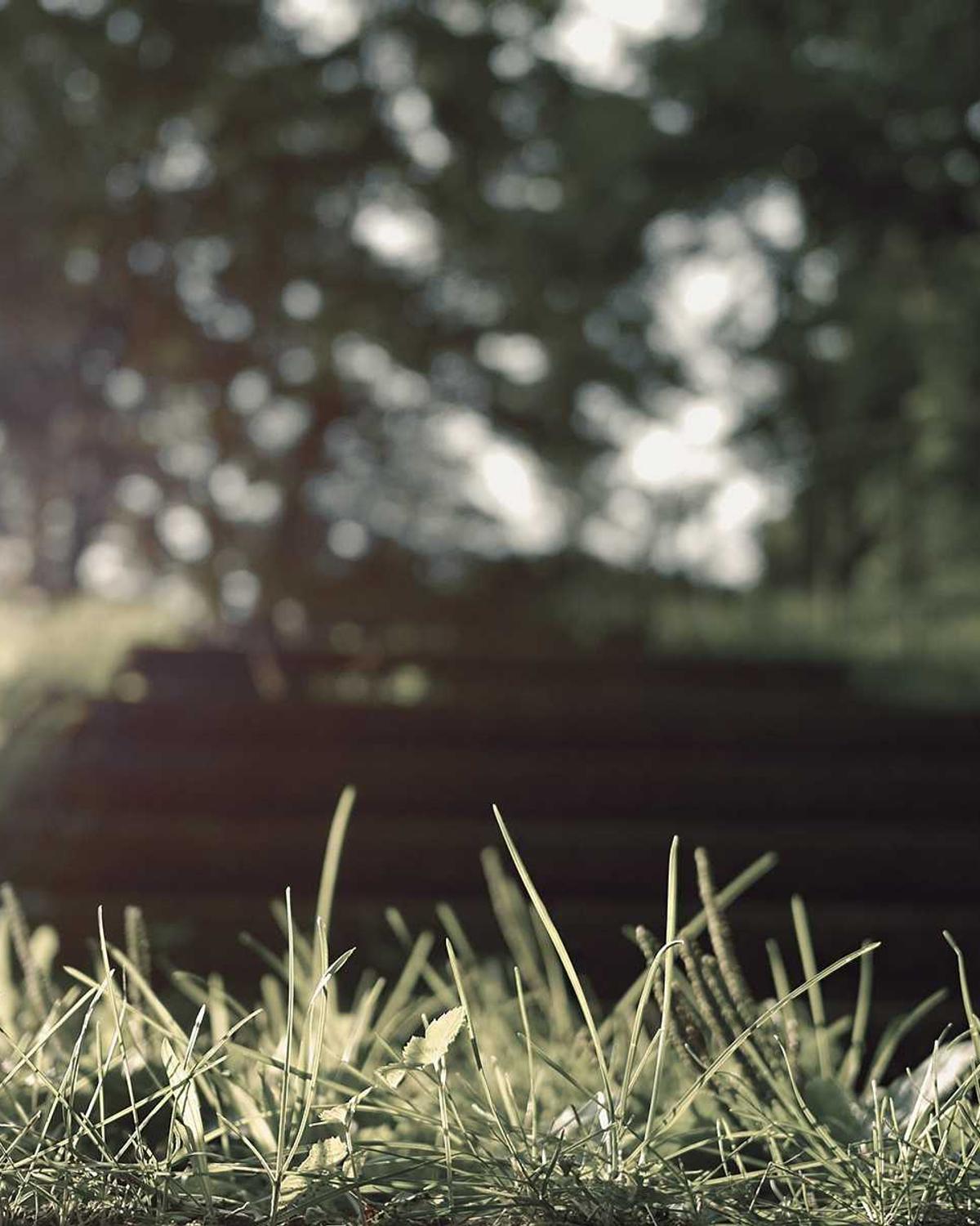 Altın Kıyı — 2 Görsel