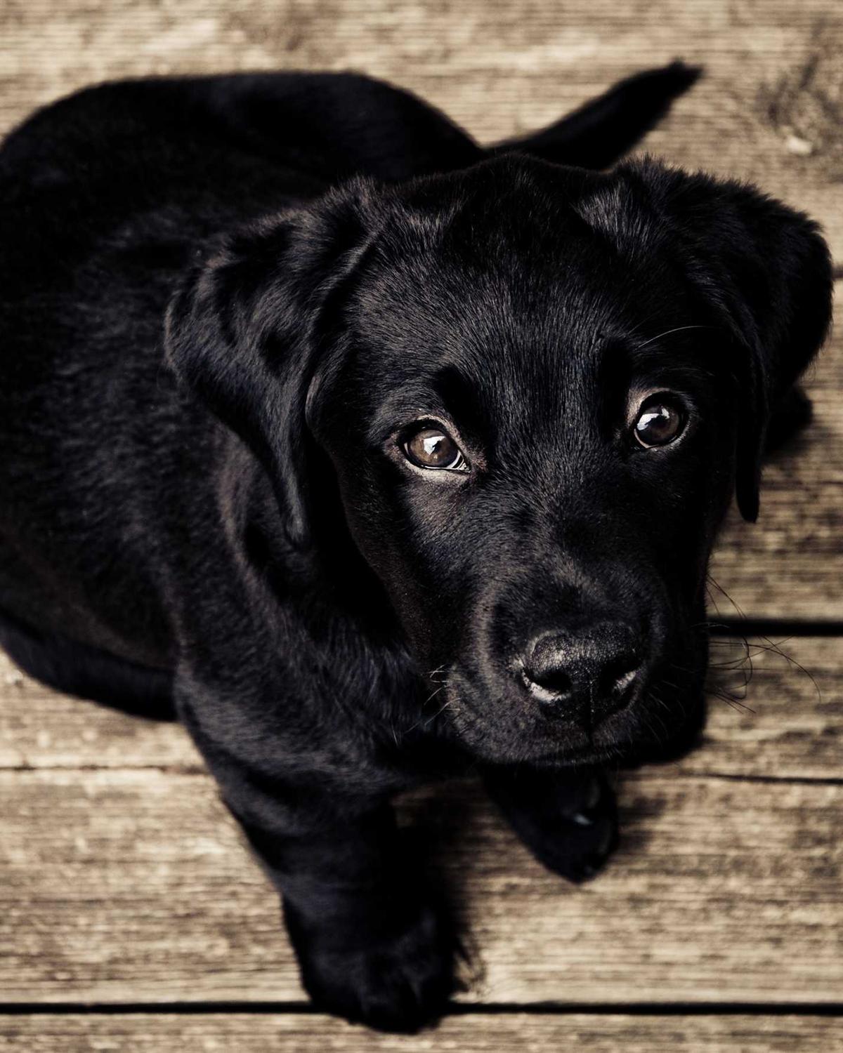 Altın Kıyı — 3 Görsel