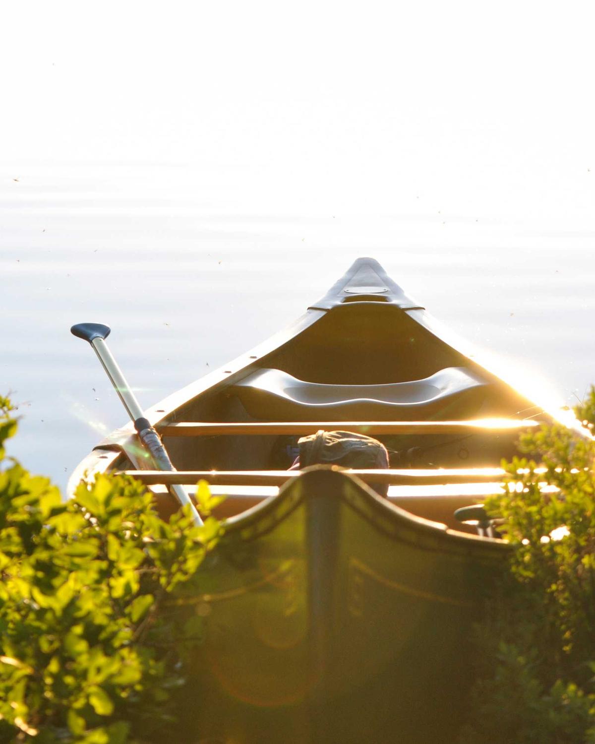 Gölgeler ve Işık — 2 Görsel