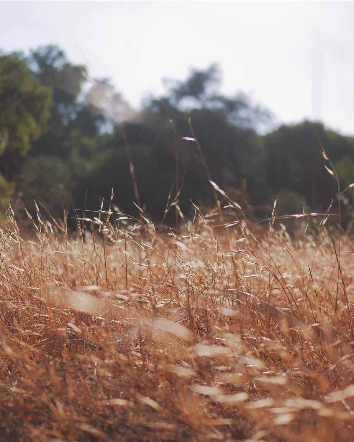 Boğaz Hikayeleri — 2 Görsel