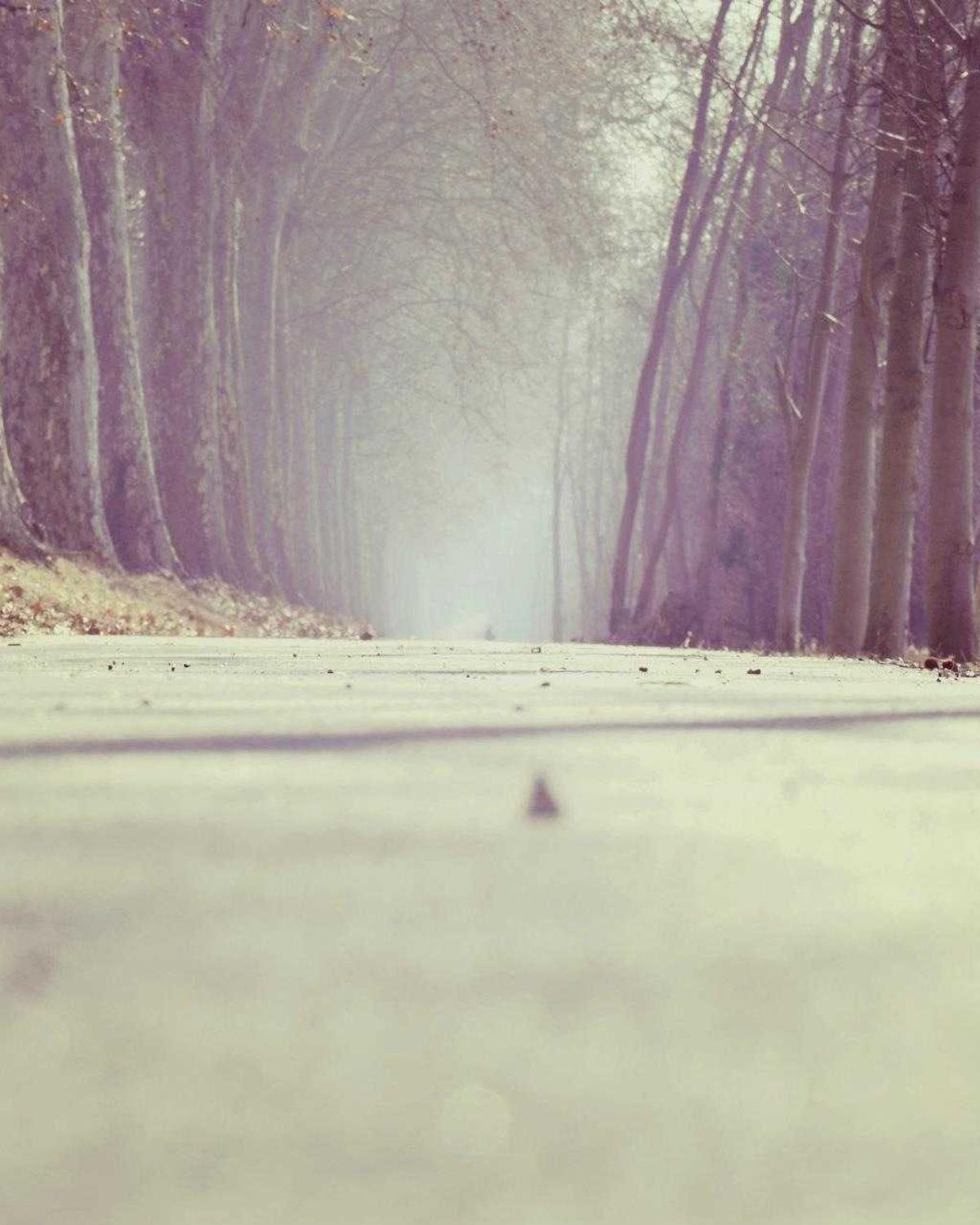 Unutulan Deniz — 4 Görsel