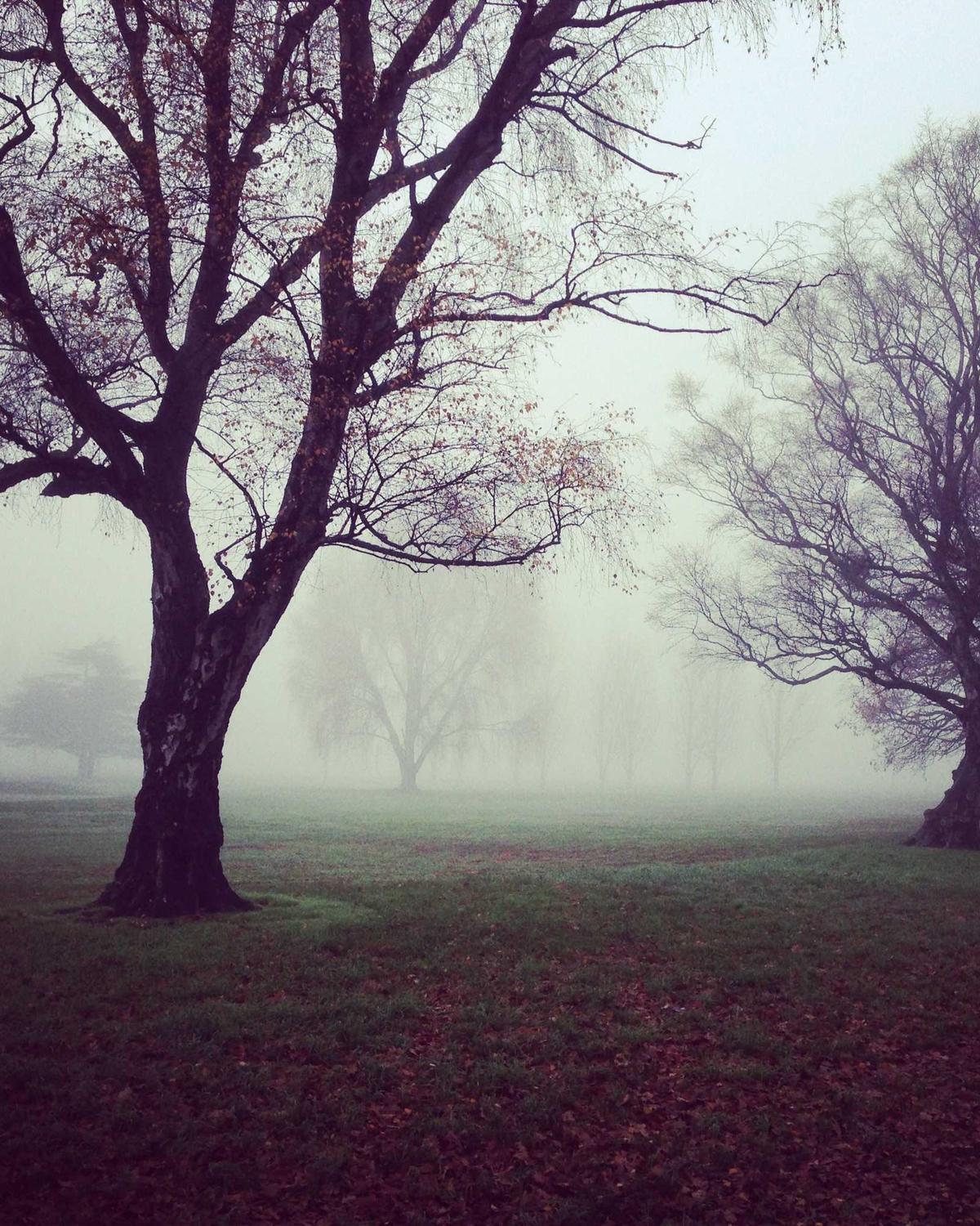 Yansımalar — 1 Görsel