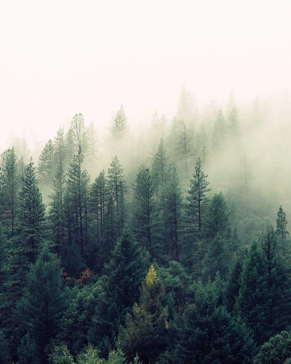 Zamanın İzleri — 1 Görsel