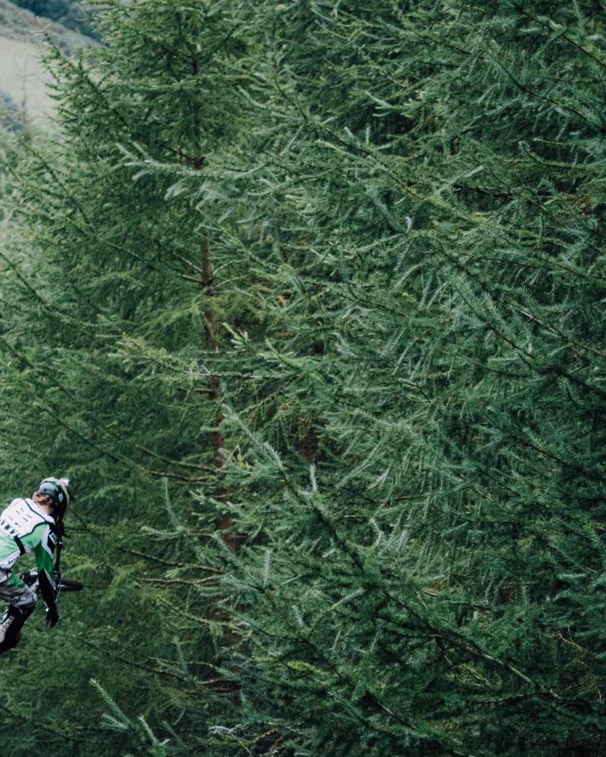 Sonbahar Nefesi — 2 Görsel